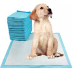 Panales para Piso para Perro