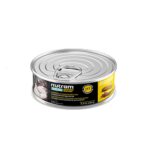 Nutram I17 Indoor Cat Canned 156g
