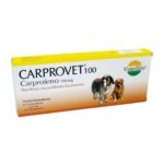 CARPROVET 100 ( 01 TABLETA)