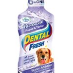 DENTAL FRESH (CAN)