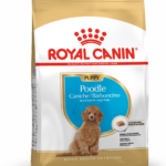 Royal Canin Poodle Puppy 3kg