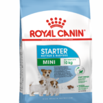 Royal Canin Mini Starter Mother & Babydog 4kg
