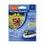 Collar Hartz Perro Cachorro