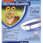 Collar Hartz Gato
