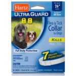 Collar Hartz Perro Adulto