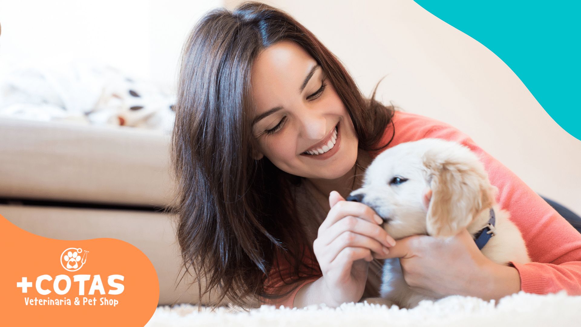 6 tips para cuidar a tu cachorro