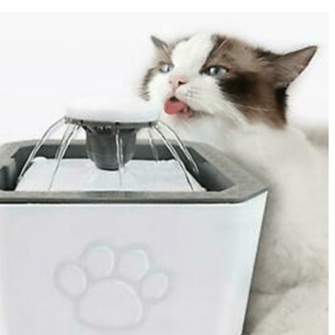 FUENTE DE AGUA ELECTRICA PARA PERROS Y GATOS