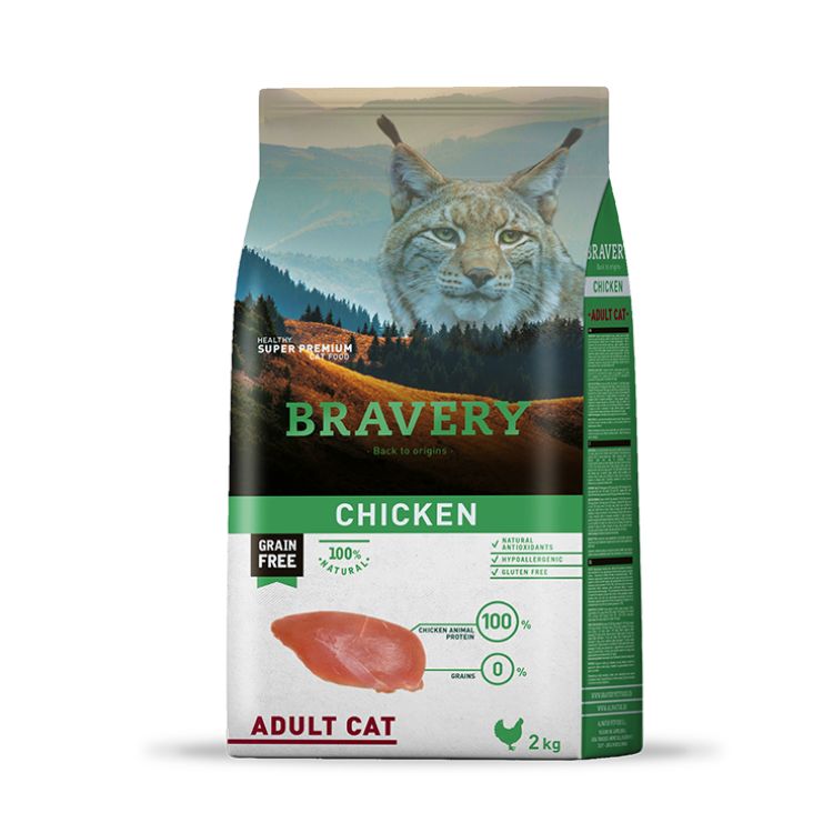 Bravery Adulto Cat Chicken