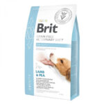 BRIT GF VET DIETS DOG OBESITY 2kg