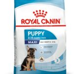 Royal Canin Maxi Puppy Canine 15 Kg