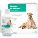 Pentonic Recuperacion (Perros Grandes)