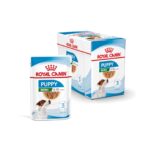 Royal Canin Mini Puppy CWP 12x85gr Caja de Sachets