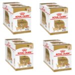 Royal Canin Chihuahua Adulto CWP 12x85Gr Caja de Sachets