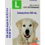 GABAPENTIN 250MG   1 PASTILLA